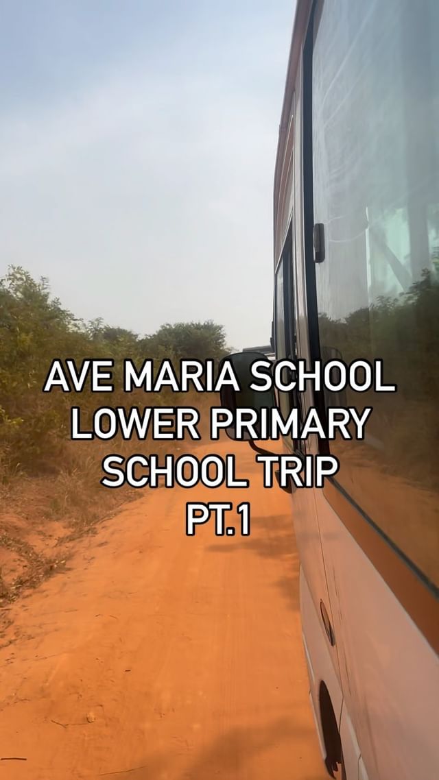 Blog & Updates – Ave Maria School